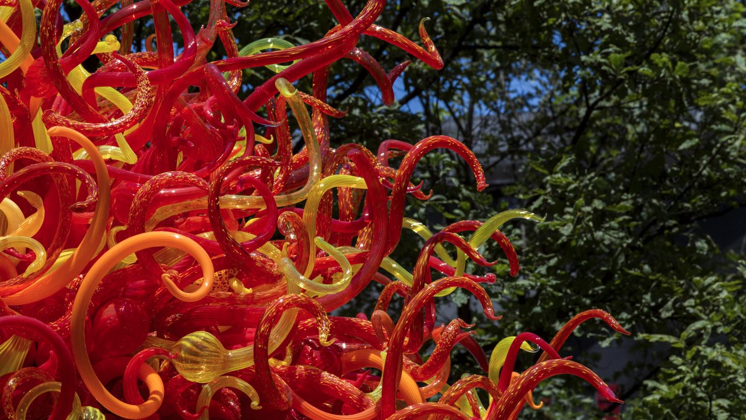 Chihuly Kew Gardens