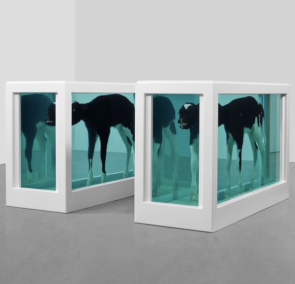 DAMIEN HIRST Cain and Abel, 1994