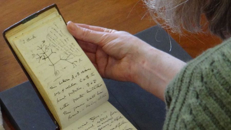 Stolen Charles Darwin Notebooks Returned