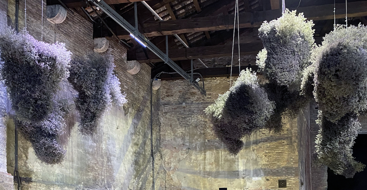 Dreaming With Our Bodies In Ancient Futures - Venice Biennale 2022 - Vimarsana News