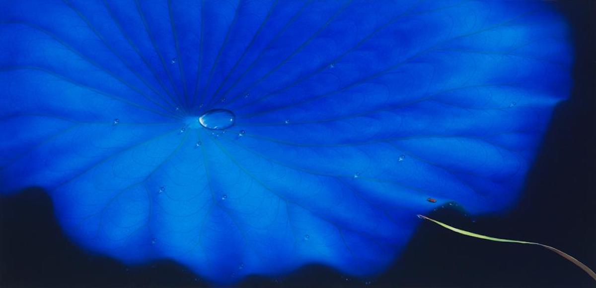 Artists Sang Woon Nam And Ji Young Hong Exhibit At J/M Gallery London - Vimarsana News